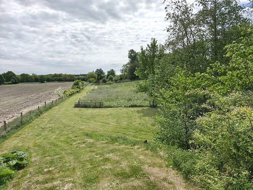 Udsigt over vildmarken i Kirkeby Børnehus