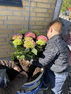 Blomsternes dag i Ollerup Børnehus
